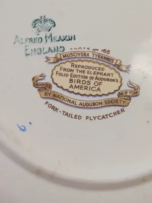Alfred Meakin England The National Audubon's Birds Of America Plates