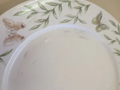 34 - Pieces Of Farberware Arbo Life 4474 China