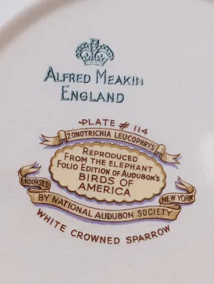 Alfred Meakin England The National Audubon's Birds Of America Plates