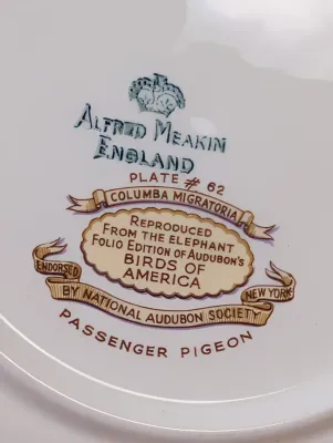 Alfred Meakin England The National Audubon's Birds Of America Plates