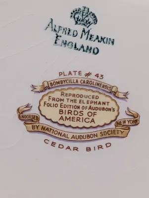 Alfred Meakin England The National Audubon's Birds Of America Plates