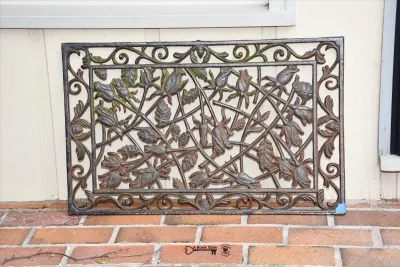 720 front yard