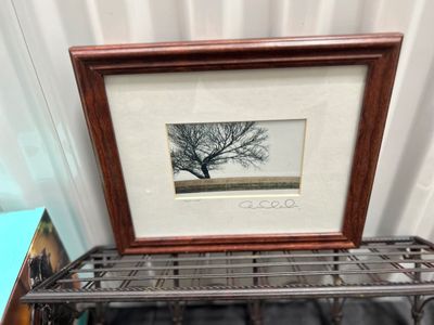 Sale Photo Thumbnail #904: 10x12 picture