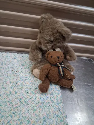 Sale Photo Thumbnail #482: PORCELAIN BABY DOLL IN PINK DRESS, RUSS BERRIE LANGLEY TEDDY BEAR, DEPARTMENT 50 TED D. BEAR PLUSH, ADDITIONAL TEDDY BEAR, AND CROCHETED BABY BLANKET. ALL ITEMS ARE IN PRE-OWNED CONDITION WITH NO VISIBLE MAJOR DAMAGE.