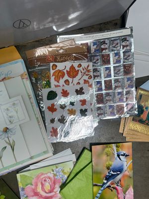 Sale Photo Thumbnail #773: .