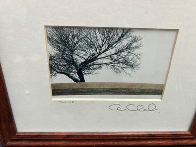 Sale Photo Thumbnail #907: 10x12 picture