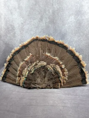 turkey feathers