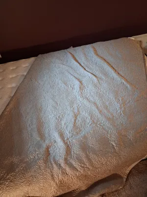 ROYAL VELVET TAN QUEEN SIZE COMFORTER W/ PLUSH BROWN THROW