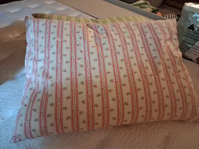 NEW QUEEN SIZE MARCIELO COMFORTER, 2 FEATHER PILLOWS