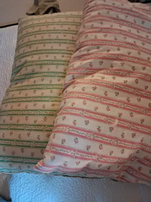 NEW QUEEN SIZE MARCIELO COMFORTER, 2 FEATHER PILLOWS