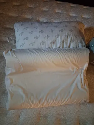 QUEEN SIZE MARCIELO COMFORTER, "MY PILLOW" AND 2ND PILLOW PLUS CURTAINS