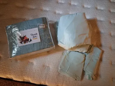 NEW QUEEN SIZE DAISY HAUNG COMFORTER W/ SHEETS