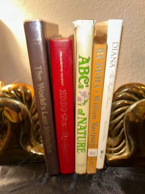 BRASS UNICORN BOOK ENDS AND HARDBACK BOOKS