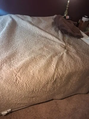 ROYAL VELVET TAN QUEEN SIZE COMFORTER W/ PLUSH BROWN THROW