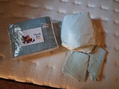 NEW QUEEN SIZE DAISY HAUNG COMFORTER W/ SHEETS