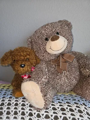 Pair of stuffed animals