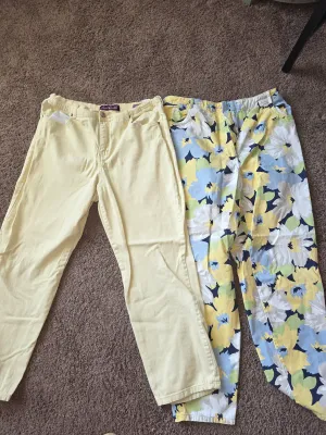 Ladies pants 10 pair