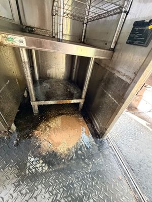 Sale Photo Thumbnail #21: Pigs Unlimited - 24 FOOT Food Truck WHITE

Fully loaded truck with everything you need for food truck industry!
It will be detailed before you buy it!

Photos included are the BEFORE photos. We will be detailing the truck while the auction is running.
Fee