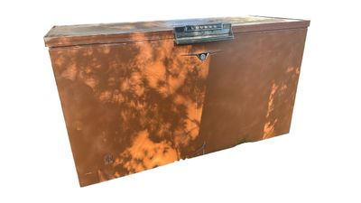 Sale Photo Thumbnail #388: Vintage Loudon Blue Ribbon Chest Freezer