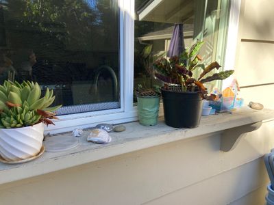 Sale Photo Thumbnail #177