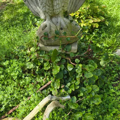 Sale Photo Thumbnail #224