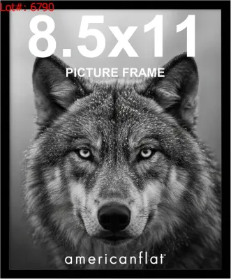 Sale Photo Thumbnail #803