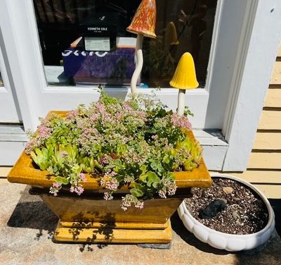 Sale Photo Thumbnail #55: Ceramic Planter