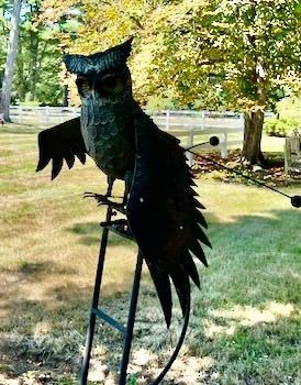 Sale Photo Thumbnail #57: Flying Owl Garden Sculpture