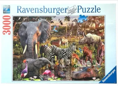 Sale Photo Thumbnail #176