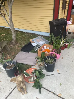 Estate sale photo