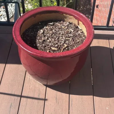 G outdoor pots1