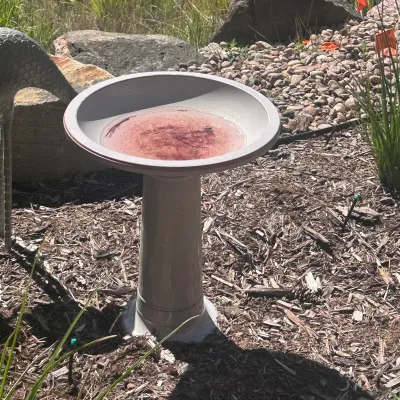 G outdoor birdbath