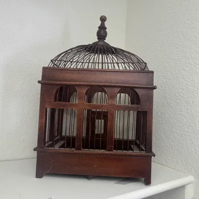 D bird cage