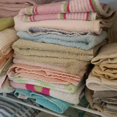 LOT 113: Large Closet Lot - Towels, Bed Linens & More