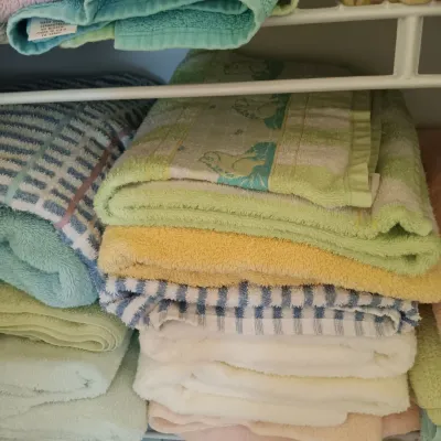 LOT 113: Large Closet Lot - Towels, Bed Linens & More