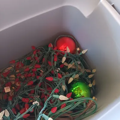 LOT 58: Garage Finds - Large Collection of Holiday Lighting