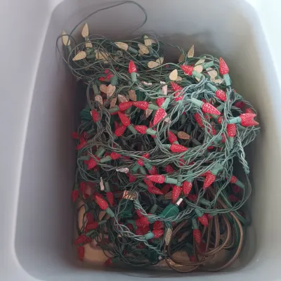 LOT 58: Garage Finds - Large Collection of Holiday Lighting