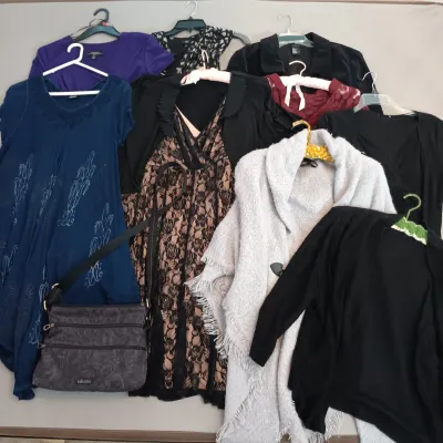 LOT 123: Sakroots Purse with Women's Dresses and Fashion Tops Sizes Large, 12 & 14