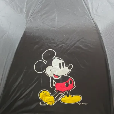 LOT 97: Sorcerer Mickey Mouse "Where Magic Lives" Snow Globe Figurine, Cinderella Wallet, Teapot for One Set, Picture Frame,...