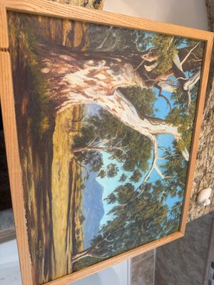 Sale Photo Thumbnail #297