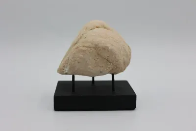 Natural Quartz Geode on Black Display Stand