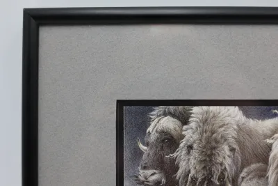 Gary Lyon Alaska Musk Ox Wildlife Print – Framed & Matted