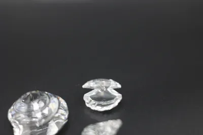 Swarovski Crystal Seashell Figurines