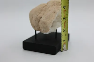 Natural Quartz Geode on Black Display Stand