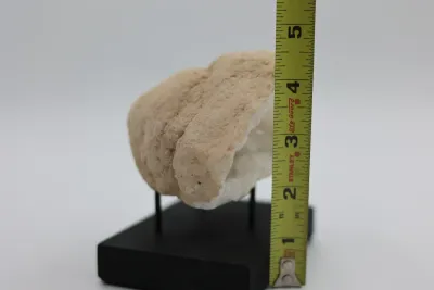 Natural Quartz Geode on Black Display Stand