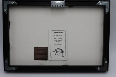 Gary Lyon Alaska Musk Ox Wildlife Print – Framed & Matted