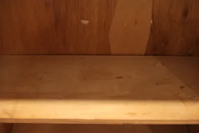 Tall Natural Wood Bookcase with Adjustable Shelves