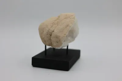 Natural Quartz Geode on Black Display Stand