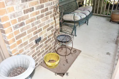 853 front yard