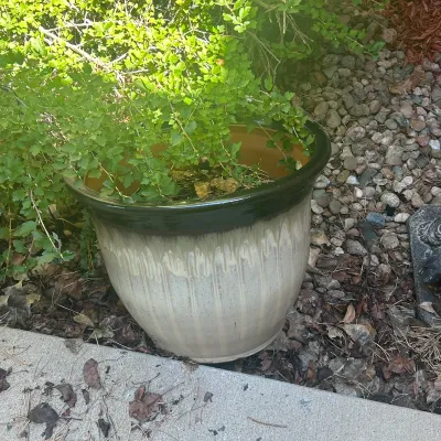 Sale Photo Thumbnail #35: G outdoor pots2